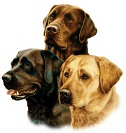 Three of a kind