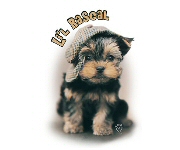 Lil Rascal
