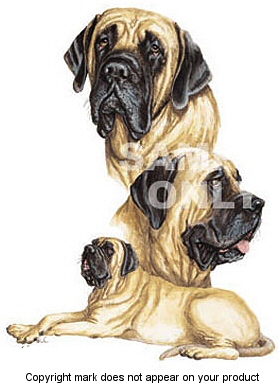 Mastiff - 350