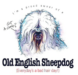 Old English sheepdog