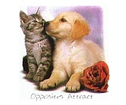Opposites Attract