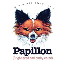 Papillon