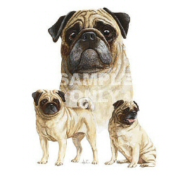 Pug group
