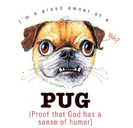 lifespan of a pug pug designs available on t shirts sweatshirts aprons cushions car sunscreens and bags lifespan of a pug pug designs available on t shirts sweatshirts aprons cushions car sunscreens and bags
