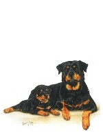 Rottweiler family