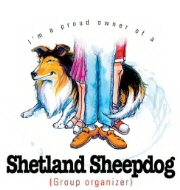 Shetland sheepdog