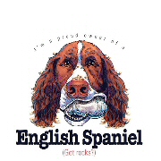 Springer spaniel rocks