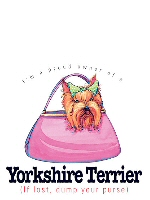 Yorkshire terrier
