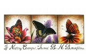 Butterfly change