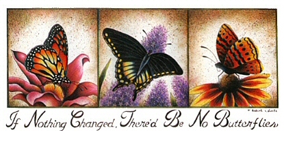 Butterfly change - 9450