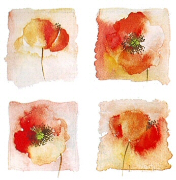 Poppies - 10915