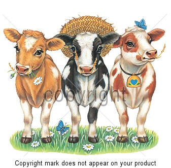 Country cows - 6659