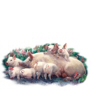 Piggin' out