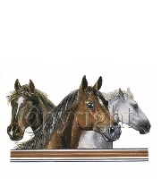 Three horses