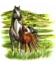 Mare and foal