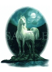 Moonlight horse