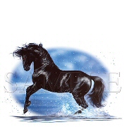 Splash dance