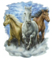 Running horses