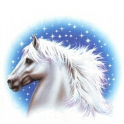 White horse