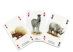 African animals