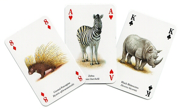 African animals playing cards