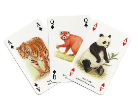 Asian animals