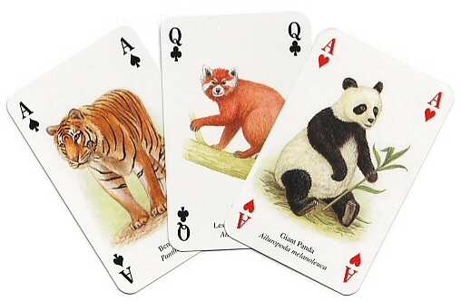 Asian animals playing cards
