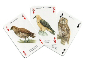 Birds of prey