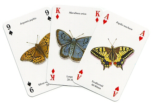 Butterfly playing cards