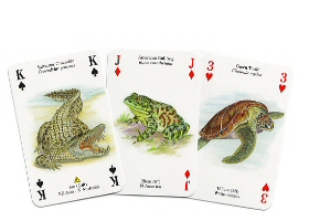 Reptiles and amphibians
