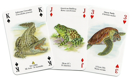 reptile names