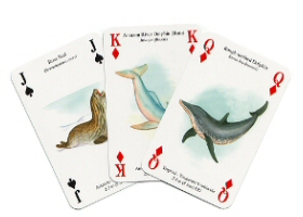 Whales and dolphins playing cards