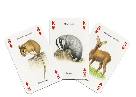 Wild animals