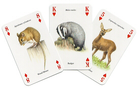 Animals Playing Cards