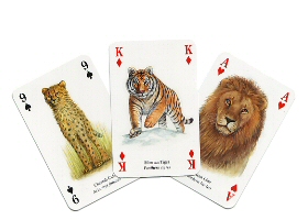 Wild cats