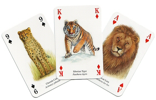 Wild cats playing cards