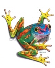 Frog