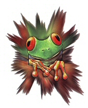 Frog survival 