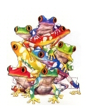 Lots of frogs