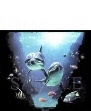 Cave dolphins