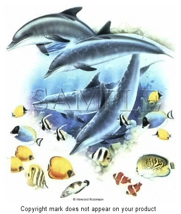 Dolphins - 4809