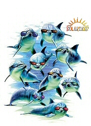 Mod squad dolphins