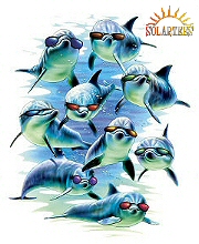 Mod squad dolphins