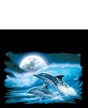 Moonlight dolphins