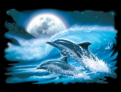 Moonlight dolphins - 8394