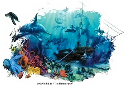 Ocean treasures - 10143