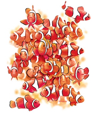 Reds - 9955