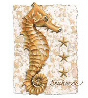 Seahorse