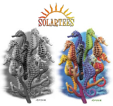 Seahorses - 14807 Solar