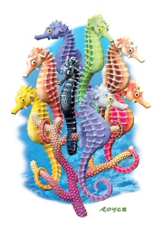 Seahorses